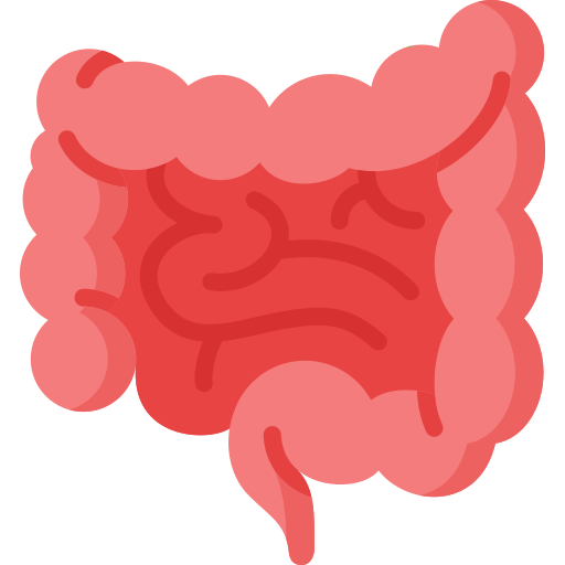 Gastro-Enterologist