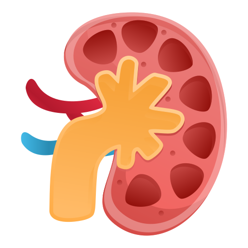 Nephrologist